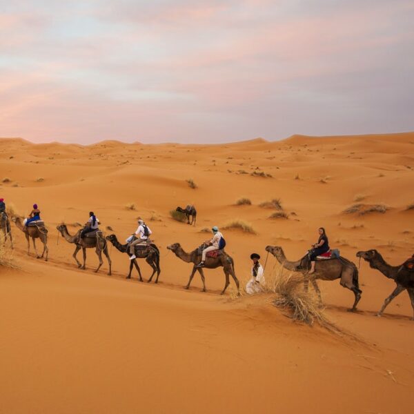 4 Days Tour To Morocco Sahara Desert From Marrakech