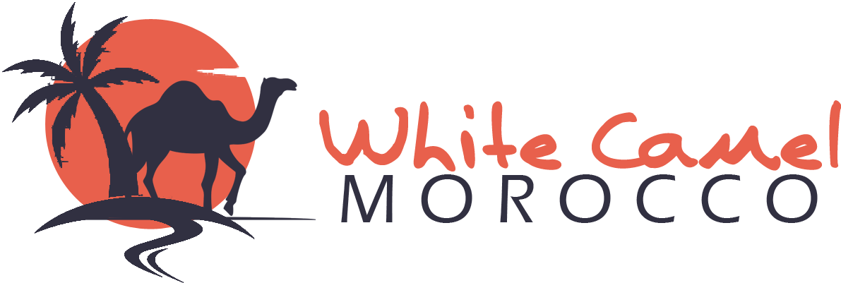 White Camel Morocco